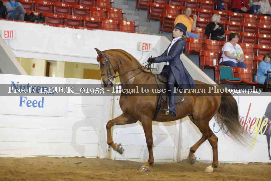 Proof 15BUCK_01953