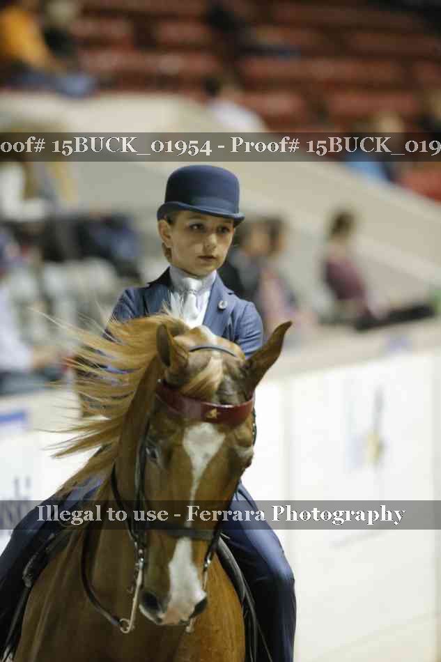 Proof 15BUCK_01954