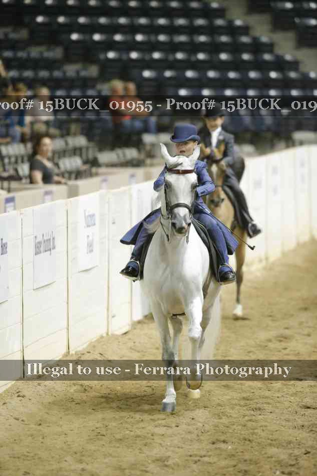 Proof 15BUCK_01955