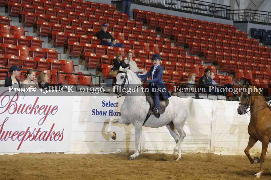 Proof 15BUCK_01956