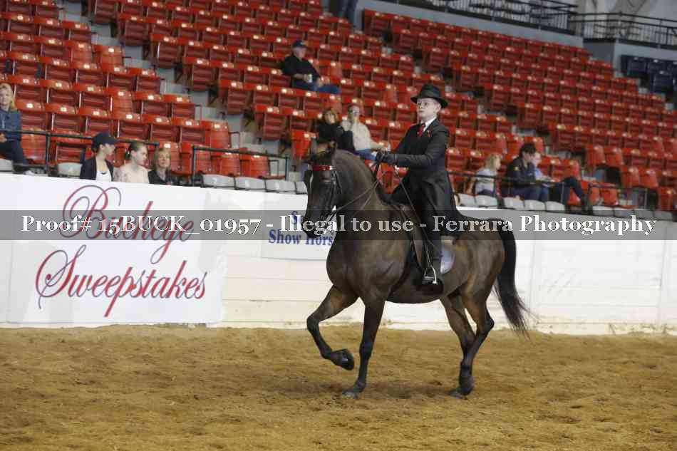 Proof 15BUCK_01957