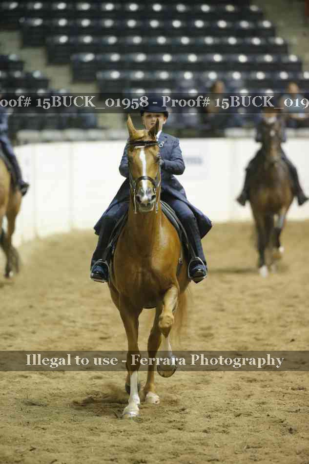 Proof 15BUCK_01958