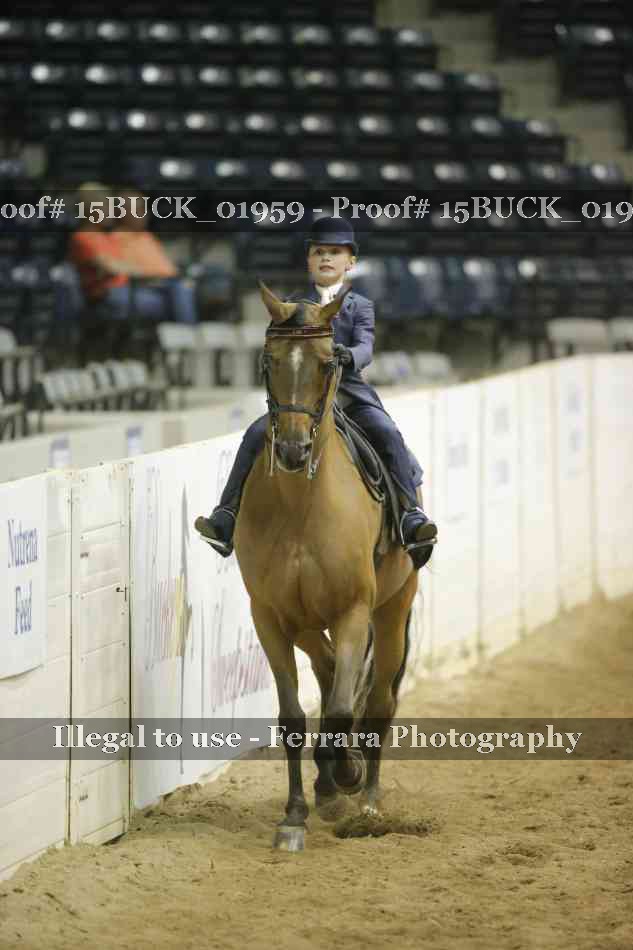 Proof 15BUCK_01959