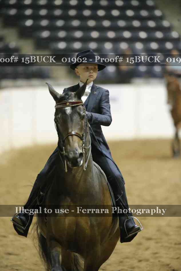 Proof 15BUCK_01962