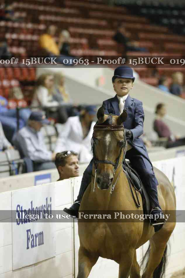Proof 15BUCK_01963