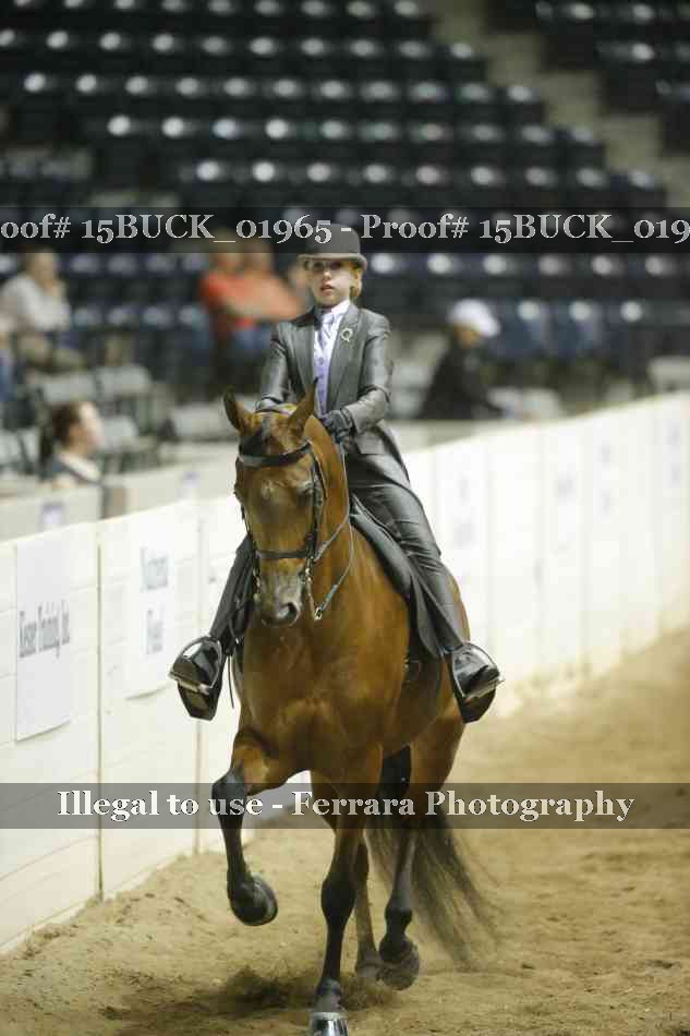 Proof 15BUCK_01965