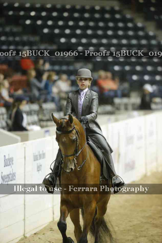 Proof 15BUCK_01966