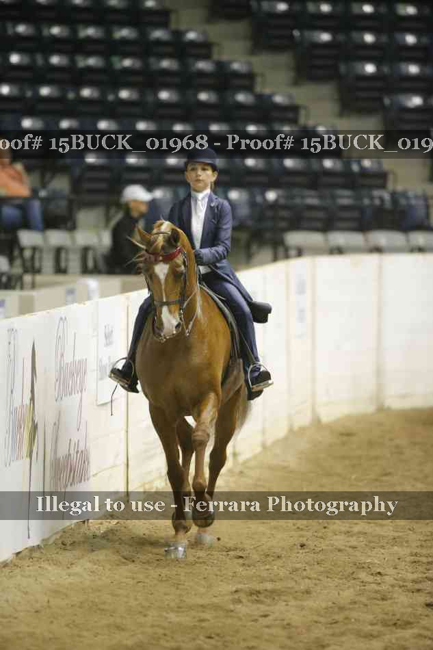 Proof 15BUCK_01968