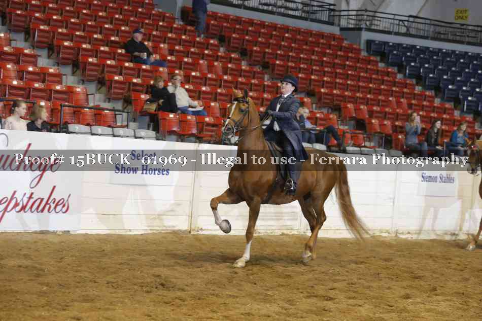 Proof 15BUCK_01969