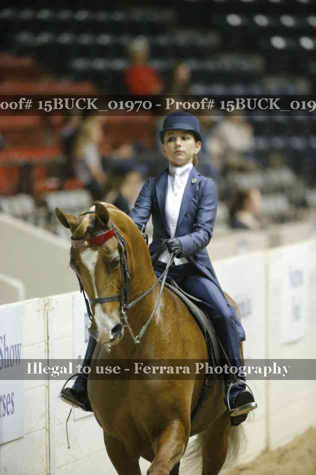 Proof 15BUCK_01970