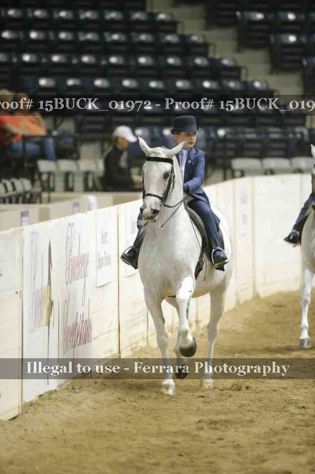 Proof 15BUCK_01972