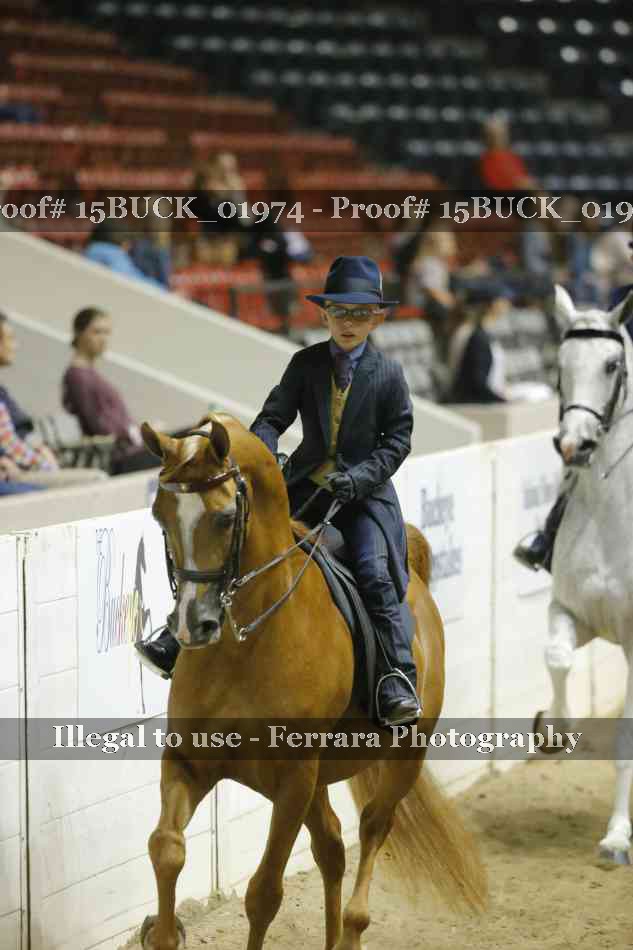Proof 15BUCK_01974