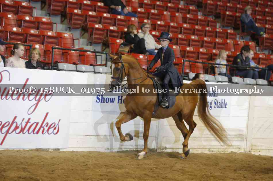 Proof 15BUCK_01975