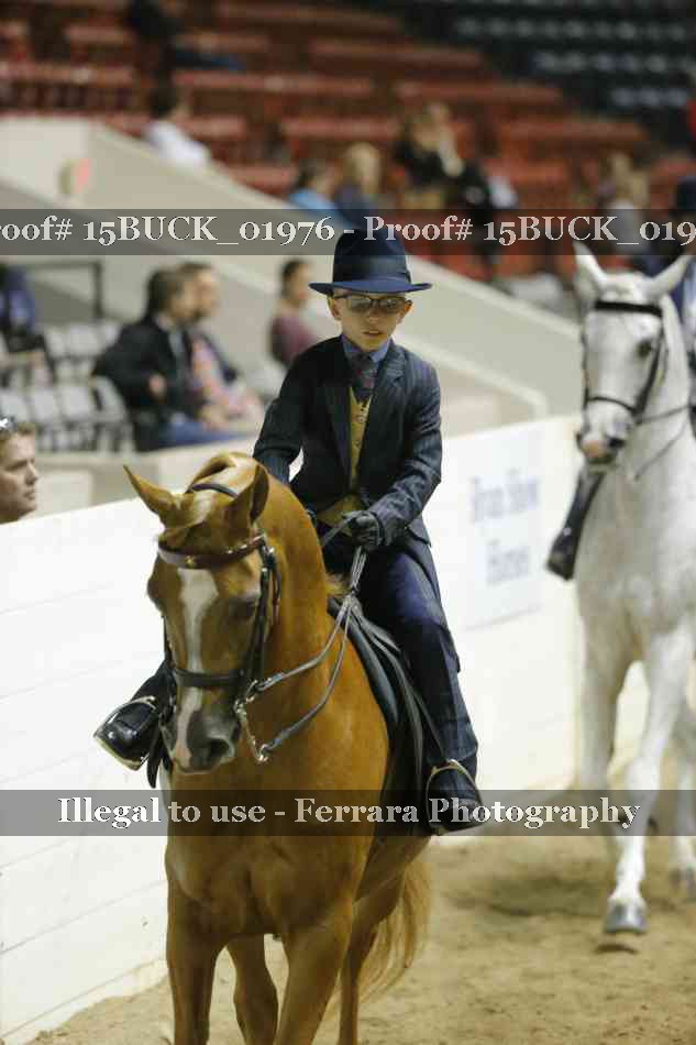 Proof 15BUCK_01976