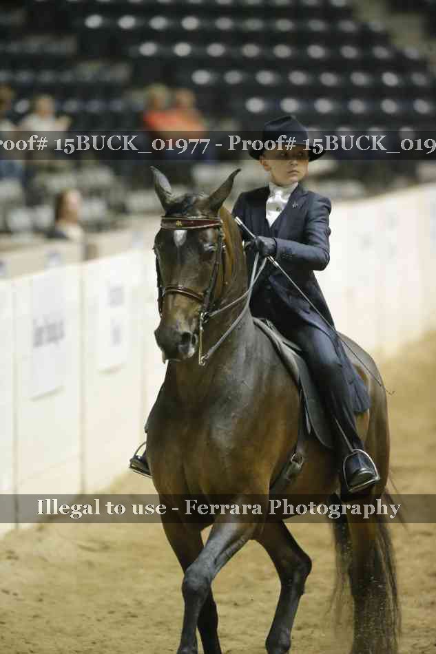 Proof 15BUCK_01977