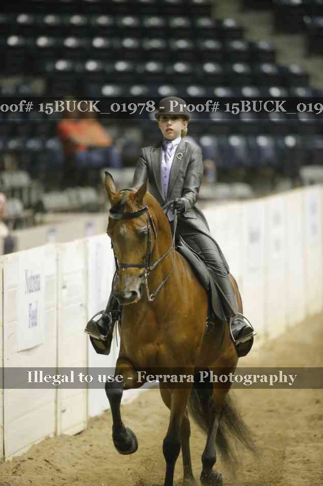 Proof 15BUCK_01978