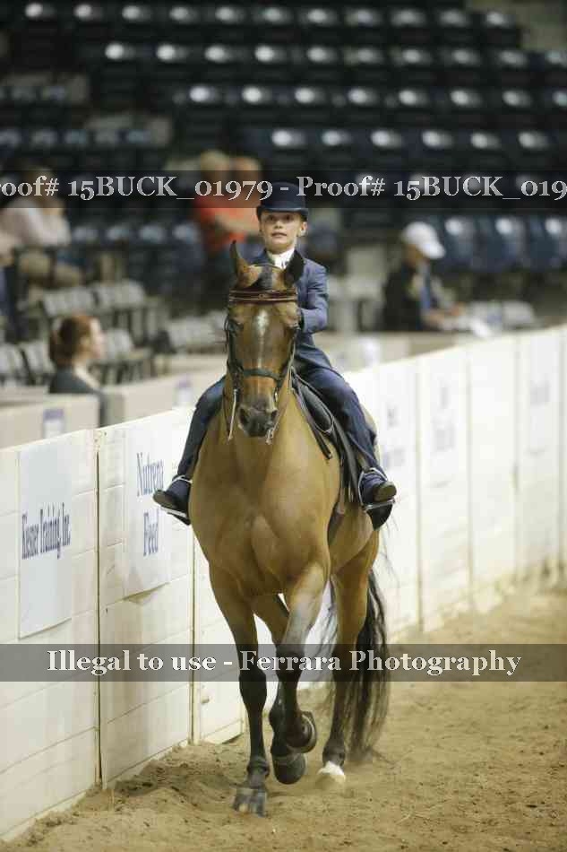 Proof 15BUCK_01979
