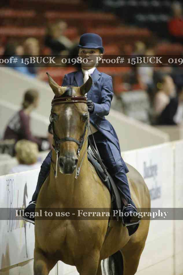Proof 15BUCK_01980