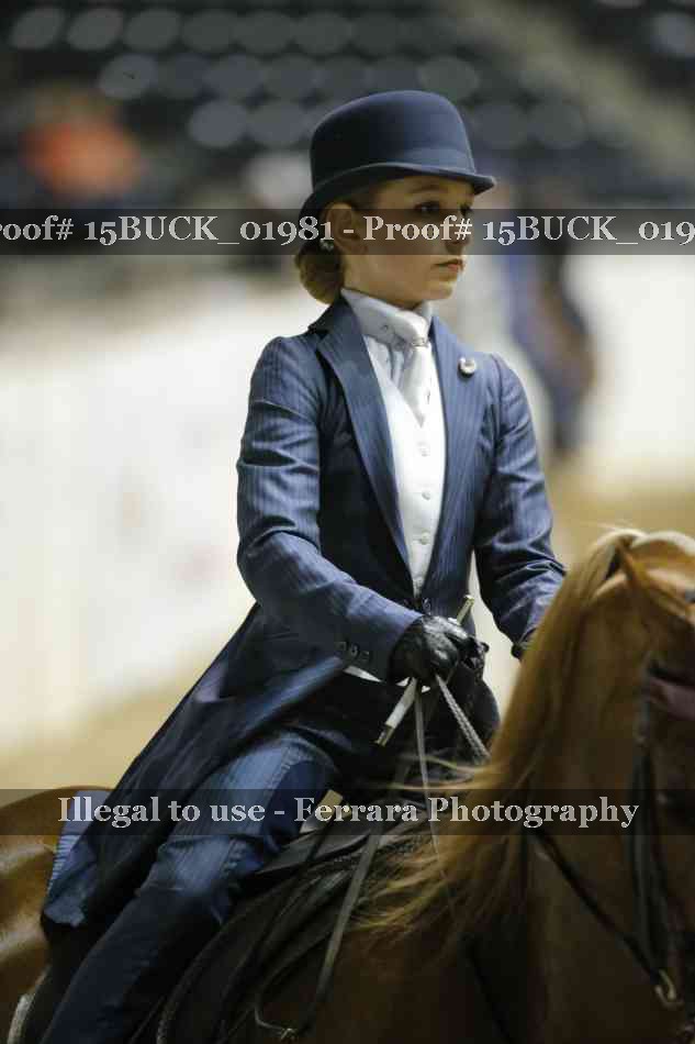 Proof 15BUCK_01981