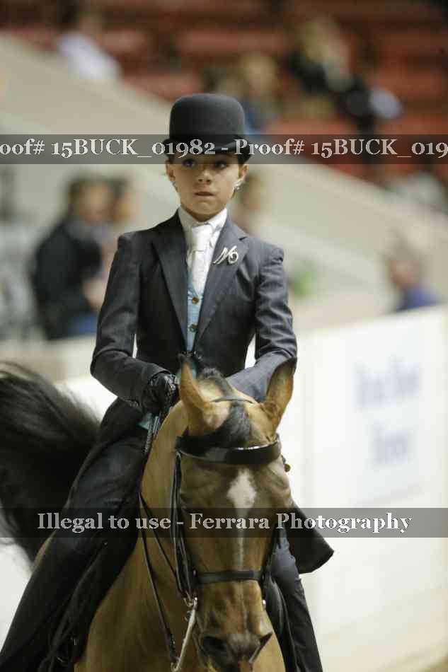 Proof 15BUCK_01982