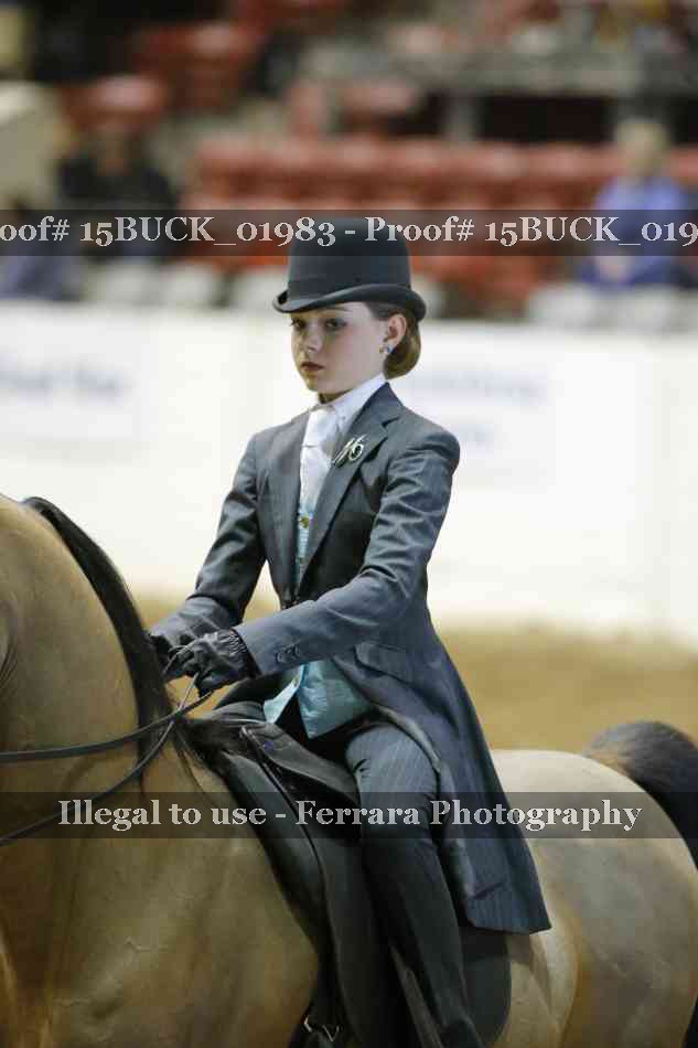 Proof 15BUCK_01983
