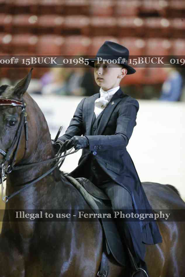 Proof 15BUCK_01985