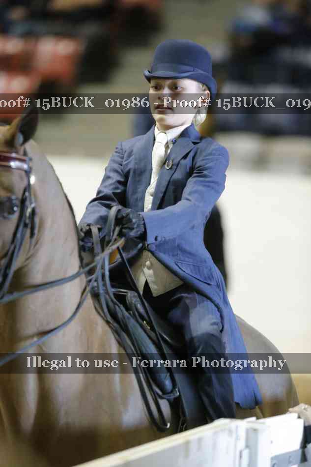 Proof 15BUCK_01986