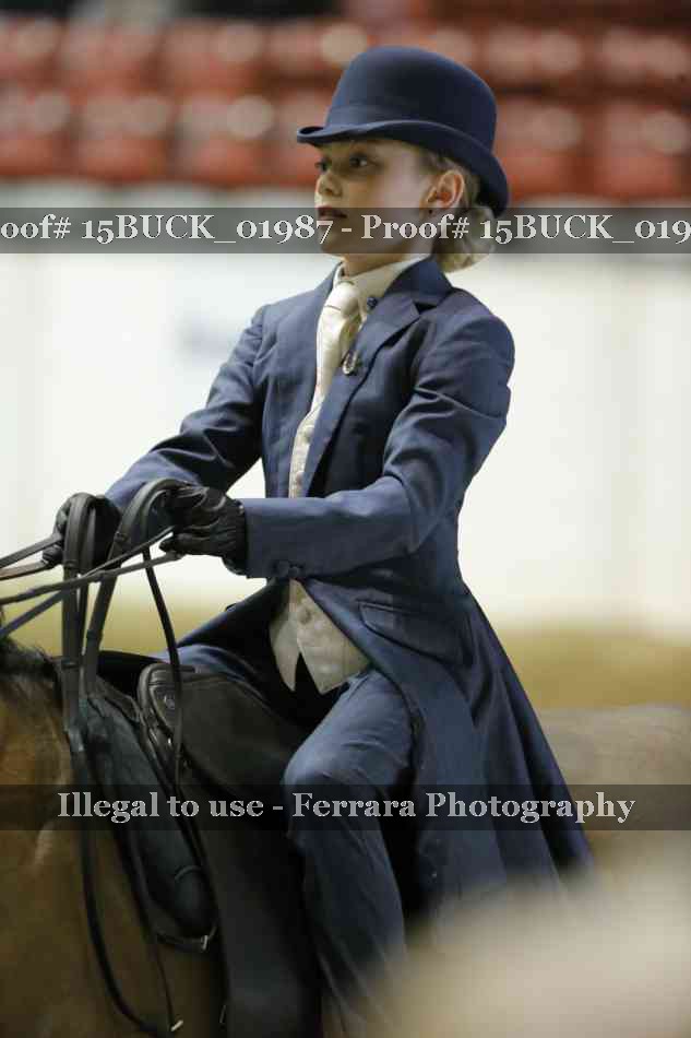 Proof 15BUCK_01987