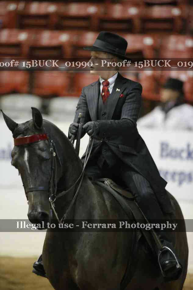 Proof 15BUCK_01990