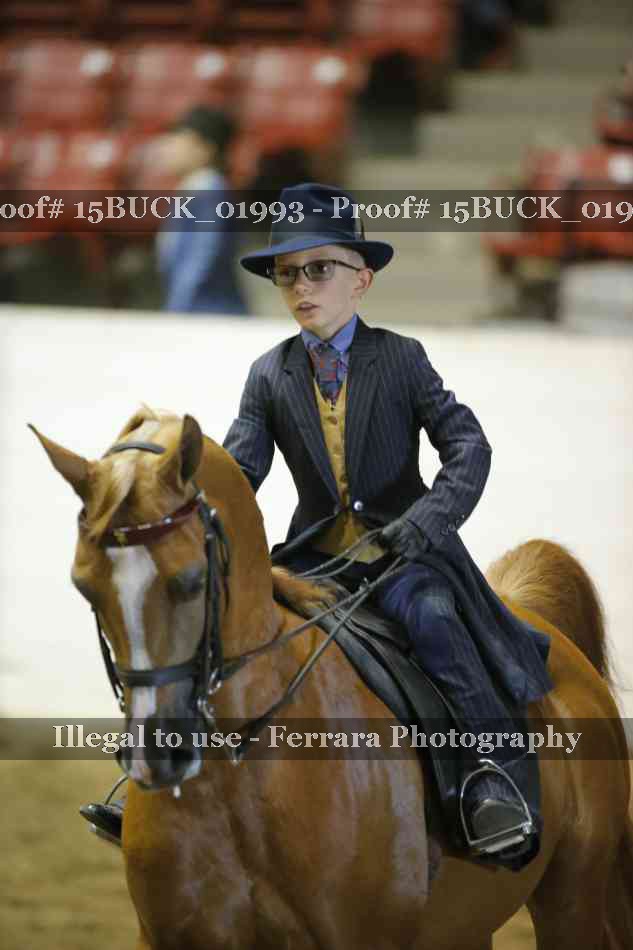Proof 15BUCK_01993