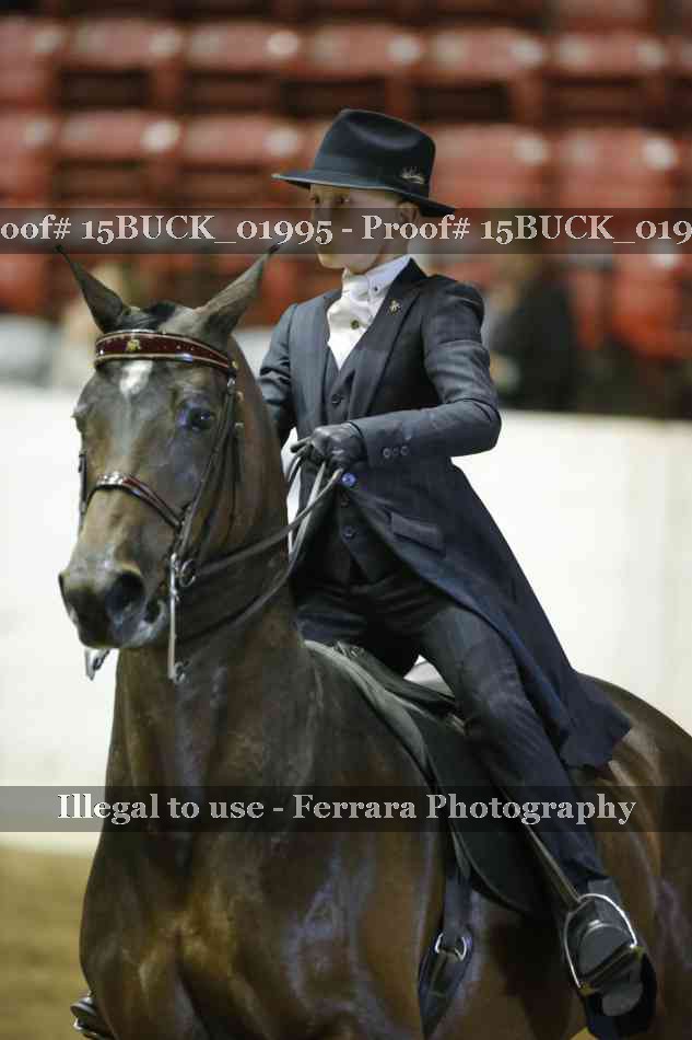 Proof 15BUCK_01995