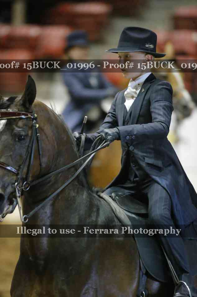 Proof 15BUCK_01996