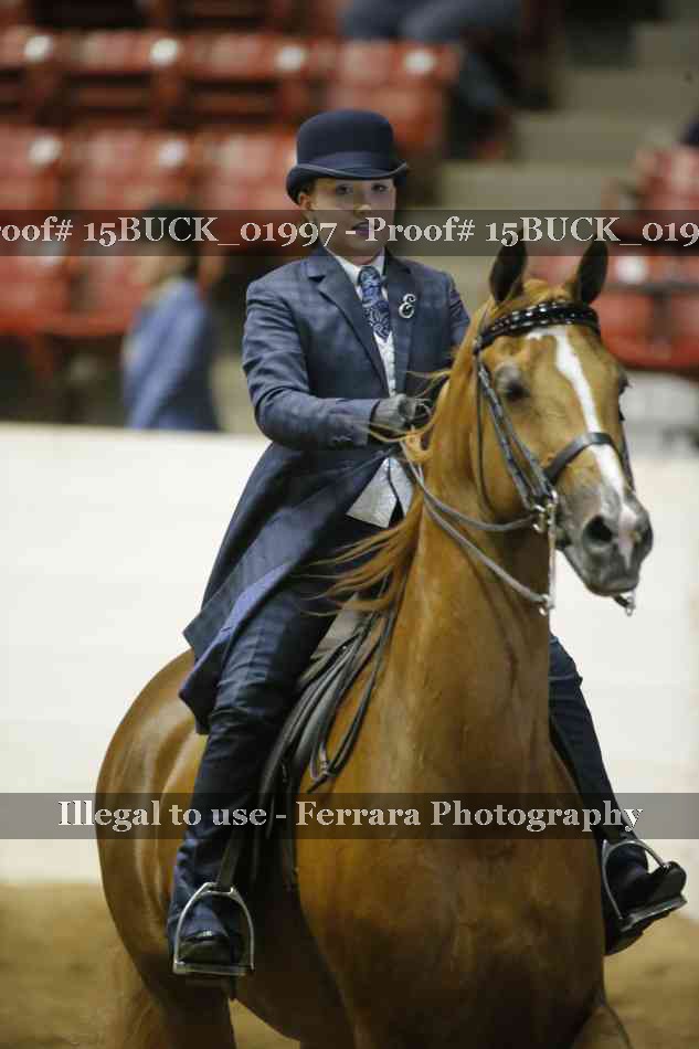 Proof 15BUCK_01997
