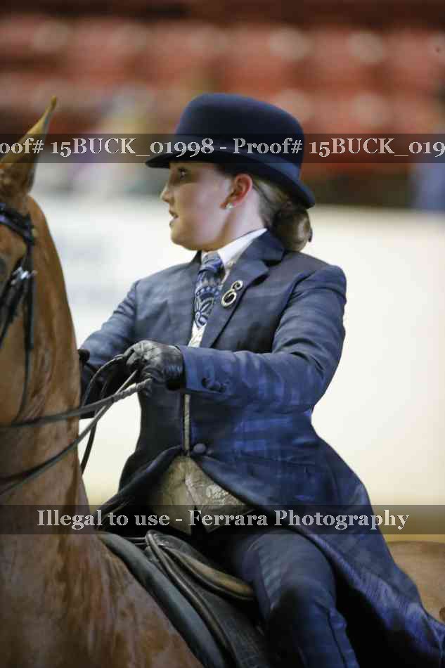 Proof 15BUCK_01998