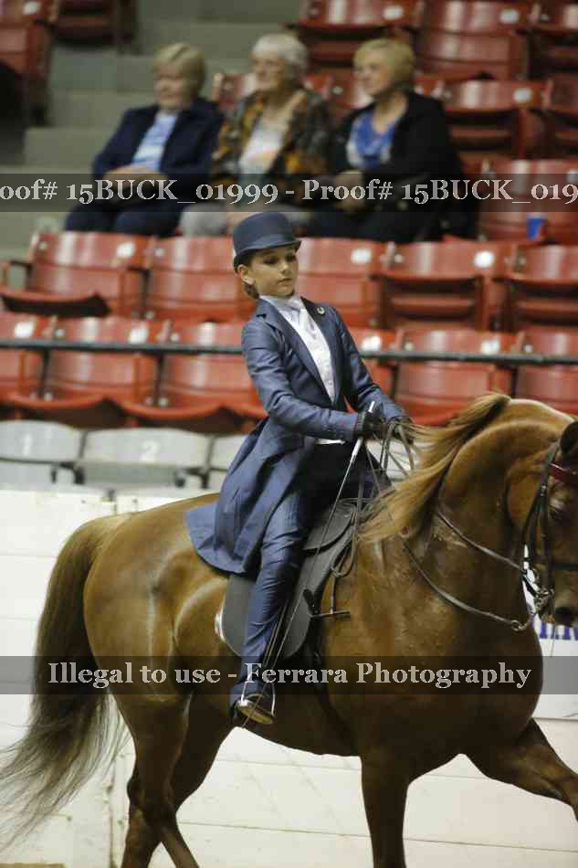 Proof 15BUCK_01999