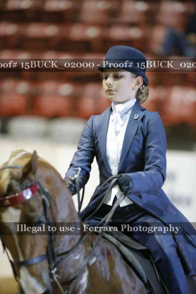 Proof 15BUCK_02000