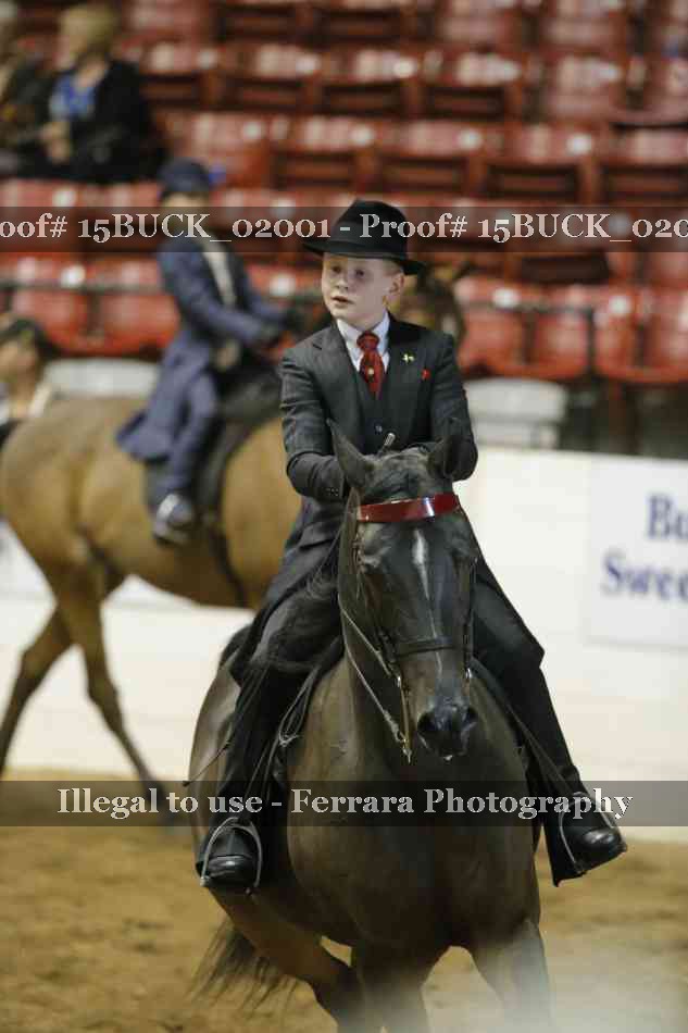 Proof 15BUCK_02001