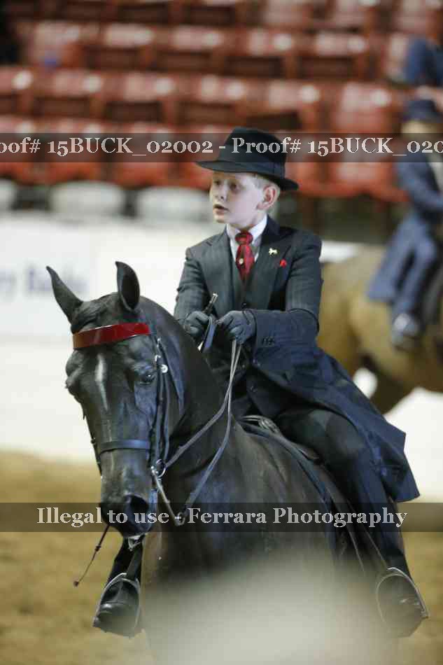 Proof 15BUCK_02002