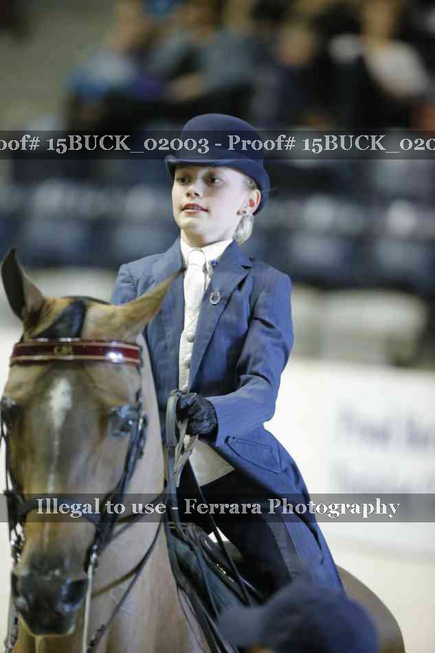 Proof 15BUCK_02003