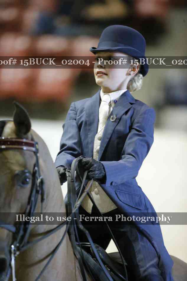 Proof 15BUCK_02004