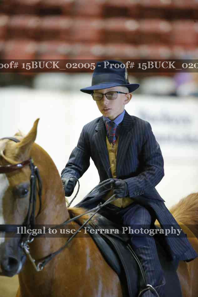 Proof 15BUCK_02005