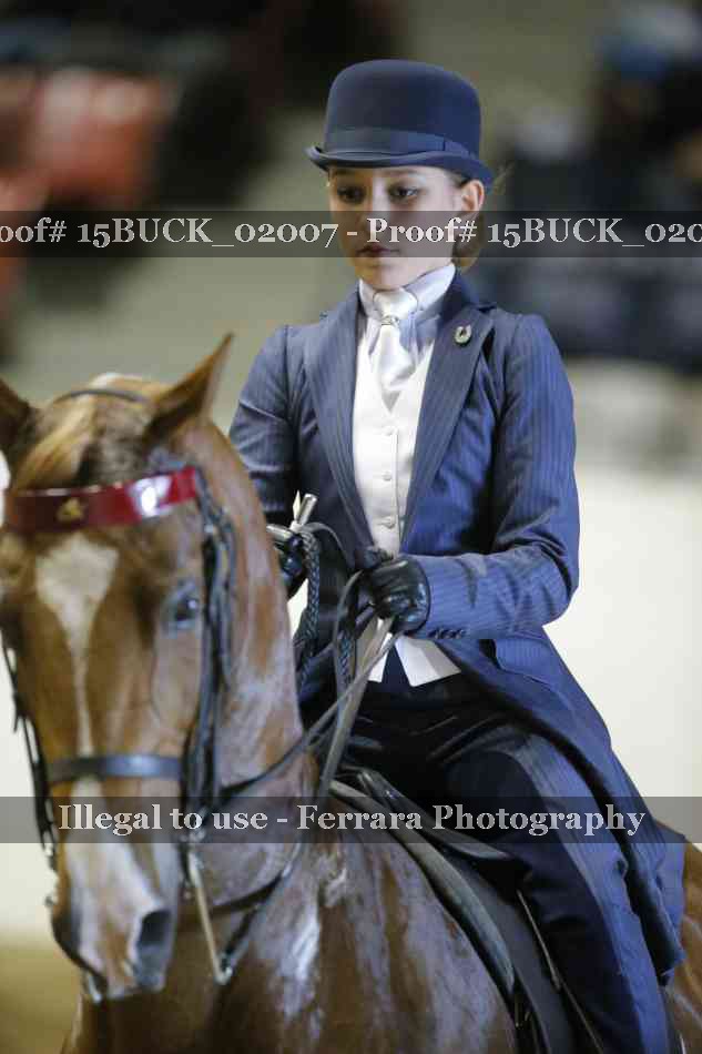 Proof 15BUCK_02007