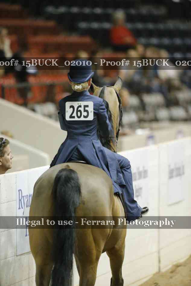 Proof 15BUCK_02010