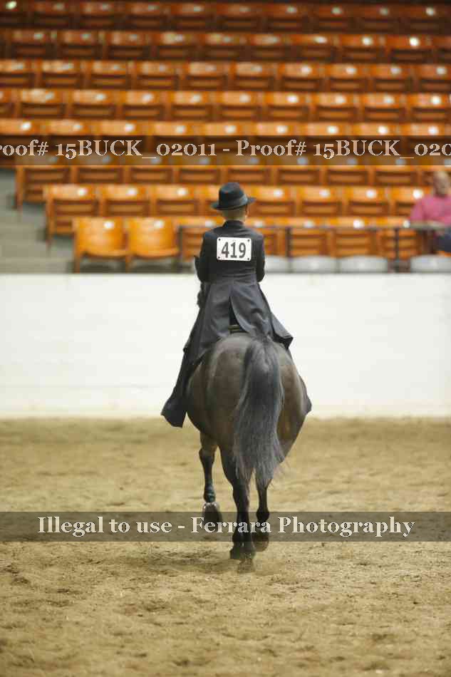 Proof 15BUCK_02011
