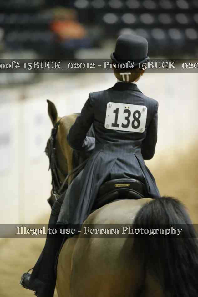 Proof 15BUCK_02012