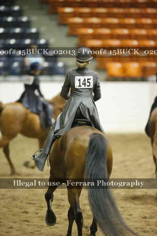 Proof 15BUCK_02013