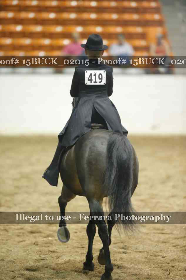 Proof 15BUCK_02015