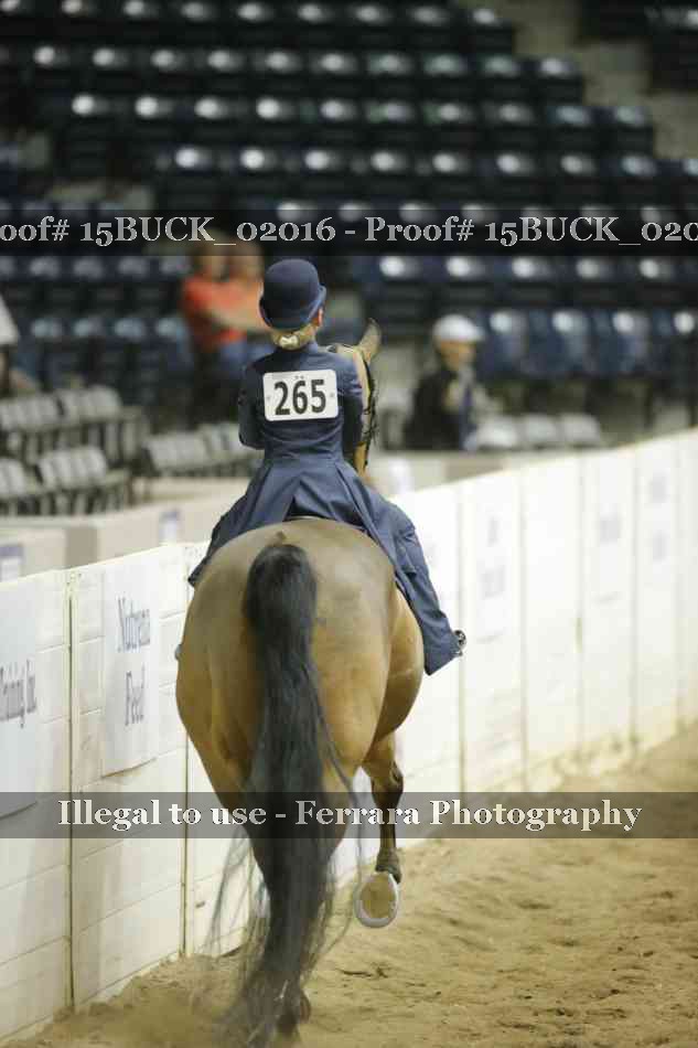 Proof 15BUCK_02016