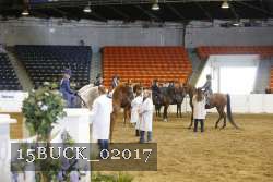 15BUCK_02017 proof