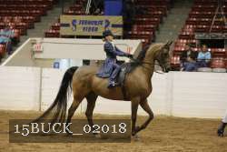 15BUCK_02018 proof